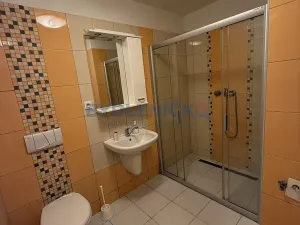Pronájem vícegeneračního domu, Slavče, 333 m2