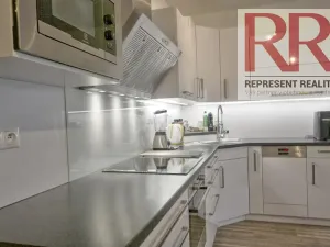 Pronájem bytu 1+kk, Plzeň, U Borských kasáren, 40 m2