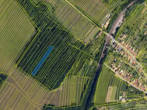 Prodej lesa, Silůvky, 2829 m2