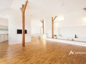 Prodej bytu 4+kk, Brno, Čápkova, 140 m2