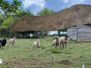 Prodej chaty, Tišnov, 25 m2