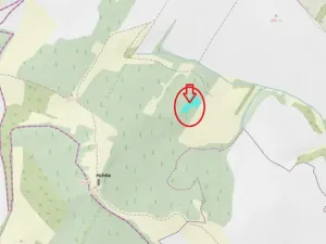 Prodej lesa, Chotiněves, 3854 m2
