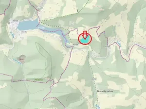 Prodej podílu lesa, Malá Bystřice, 5829 m2