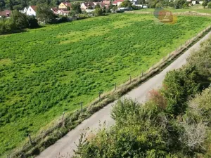 Prodej pozemku pro bydlení, Radslavice, 2734 m2