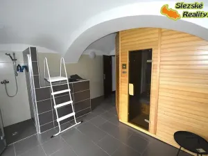 Pronájem bytu 2+kk, Janovice, 70 m2