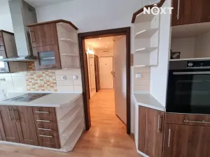 Pronájem bytu 3+kk, Lišov, Čechova, 66 m2