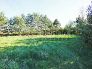 Prodej zahrady, Mělník, 9817 m2