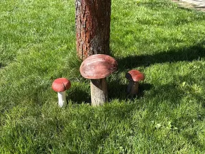 Prodej chaty, Jistebnice, 50 m2