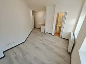 Pronájem bytu 1+kk, Praha - Hlubočepy, Na Zlíchově, 20 m2