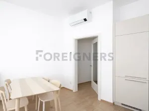 Pronájem bytu 1+kk, Brno, Spolková, 38 m2