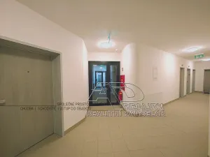 Pronájem bytu 1+kk, České Budějovice, Na Zlaté stoce, 28 m2