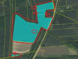 Prodej podílu lesa, Račice, 38354 m2