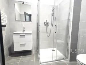 Pronájem bytu 1+kk, Písek, Vladislavova, 40 m2