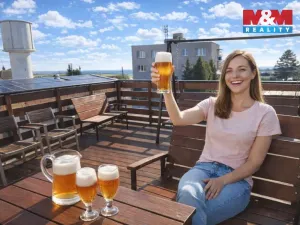 Pronájem bytu 2+1, Ostrava - Krásné Pole, Družební, 60 m2