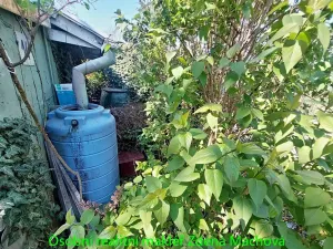 Prodej zahrady, Praha, Na Balkáně, 250 m2