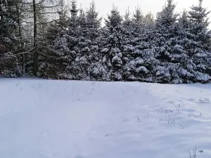 Prodej pozemku pro bydlení, Meziměstí, 2212 m2