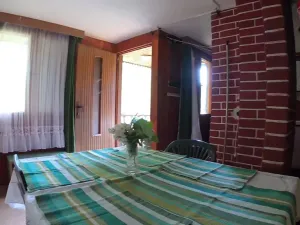 Prodej chaty, Horní Pěna, 41 m2