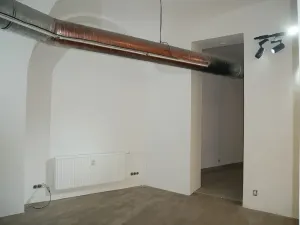 Pronájem restaurace, Brno, Josefská, 127 m2