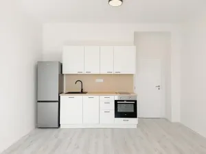 Pronájem bytu 2+kk, Praha - Žižkov, Jeseniova, 54 m2