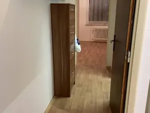 Pronájem bytu 1+kk, Praha - Braník, Podolská, 30 m2