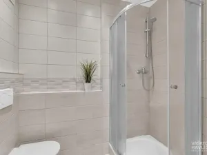 Pronájem bytu 1+1, Heřmanův Městec, V Lukách, 32 m2