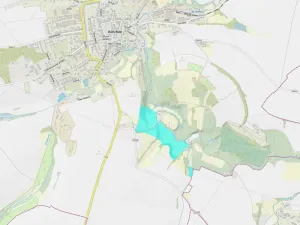 Prodej lesa, Kouřim, 87548 m2