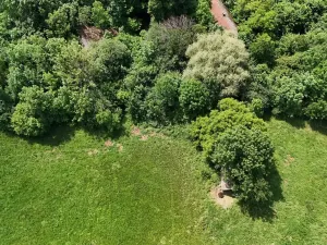 Prodej podílu louky, Bradlecká Lhota, 52392 m2