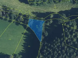 Prodej louky, Zdobín, 145881 m2