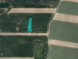 Prodej pole, Spytihněv, 12650 m2