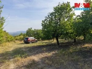 Prodej pole, Židlochovice, 4295 m2