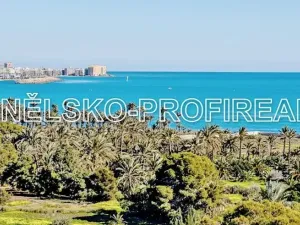 Prodej bytu 3+kk, Torrevieja, Španělsko, 80 m2