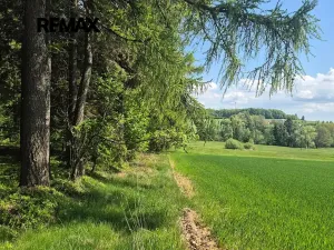 Prodej pozemku pro bydlení, Borová, 5776 m2