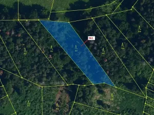Dražba lesa, Mladoňovice, 961 m2