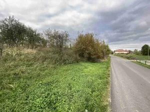 Prodej pozemku, Javorník - Horní Hoštice, 1651 m2