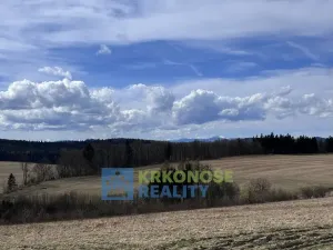 Prodej chaty, Jívka, 183 m2