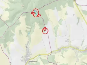 Prodej podílu lesa, Dlouhomilov, 1463 m2