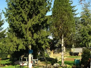 Prodej rodinného domu, Pohořelice, Brněnská, 79 m2