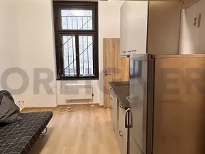 Pronájem bytu 1+kk, Praha - Žižkov, Řehořova, 20 m2