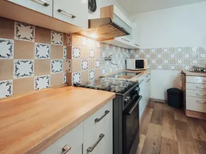 Prodej rodinného domu, Nedachlebice, 410 m2