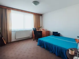 Prodej rodinného domu, Nedachlebice, 410 m2