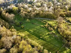 Prodej pozemku pro bydlení, Okounov, 13326 m2