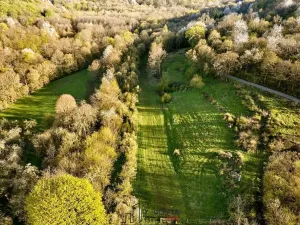 Prodej pozemku pro bydlení, Okounov, 13326 m2