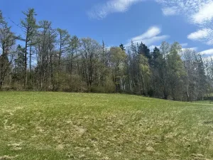 Prodej lesa, Loužnice, 5723 m2