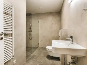 Pronájem bytu 2+kk, Brno, Stavební, 56 m2