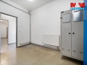 Pronájem výrobních prostor, Albrechtice, 328 m2