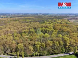 Prodej lesa, Přerov nad Labem, 70048 m2