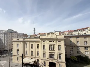 Pronájem bytu 1+1, Praha, Vinohradská, 52 m2