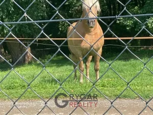 Pronájem bytu 2+kk, Středokluky, Nad Běloky, 73 m2