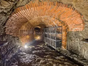 Prodej činžovního domu, Třebíč, Blahoslavova, 533 m2