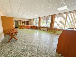 Prodej obchodního prostoru, Drnovice, 342 m2